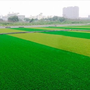 2024 nouveau gazon <span class=keywords><strong>de</strong></span> football personnalisé à cinq côtés gazon artificiel <span class=keywords><strong>terrain</strong></span> <span class=keywords><strong>de</strong></span> football à sept côtés concessions <span class=keywords><strong>de</strong></span> <span class=keywords><strong>prix</strong></span> d'herbe artificielle - Product Image 5