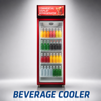 Réfrigérateur vertical de 380 L, armoire de présentation, refroidisseur, réfrigérateur commercial pour restaurant avec porte en verre