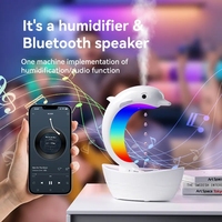 Mini humidificateur à ultrasons USB anti-gravité avec Bluetooth Aromathérapie à chute d'eau pour hôtels Source d'alimentation électrique