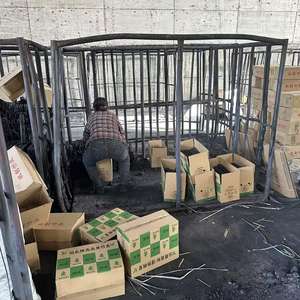 Биоуголь BIOOD VIETNAM из бамбуковых древесных опилок: бездымный, без запаха, взрывобезопасный, с минимальным временем горения и низким содержанием золы - Product Image 4