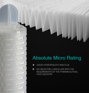 แผ่นกรองโพลีอีเธอร์ซัลโฟนสำหรับระบบกระบวนการกรองขั้นสุดท้ายขนาด0.22ไมครอน - Product Image 2