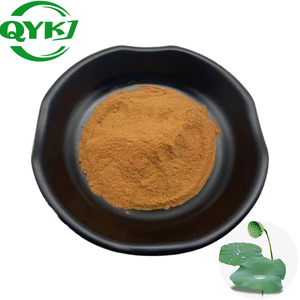 Премиальный порошок листьев лотоса, органический экстракт листьев лотоса (2%-4%), алкалоиды листьев лотоса, натуральный экстракт листьев лотоса. - Product Image 2