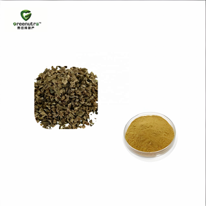 Fructus Kochiae Fruchtextrakt-Pulver 10:1 Kochia Scoparia Natürlicher Pflanzenextrakt für Nahrungsergänzungsmittel Lebensmittelqualität - Product Image 2