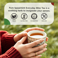 Produsen Grosir Chinaherbs, Teh Spearmint Kering Bersertifikat GMP, Rempah-rempah Herbal, Daun Peppermint Hijau Kering, Kantong Teh Daun Mint untuk Dijual