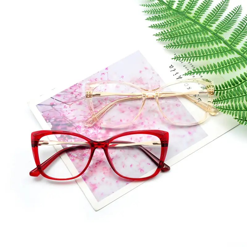 Nuovi occhiali da donna moda cina all'ingrosso oculari in gomma TR90 montature per occhiali da vista