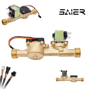 G1/2 DN15 Brass NC một cách nước solenoid van 24V với hiệu ứng <span class=keywords><strong>Hall</strong></span> Cảm biến lưu lượng cho máy nước nóng - Product Image 4