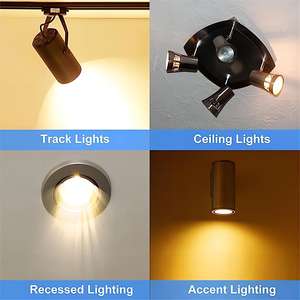 Gu5.3 12V 24V 35W 50W Vidrio transparente Halógeno <span class=keywords><strong>Mr16</strong></span> Lámpara de luz Producto Género Bombillas halógenas - Product Image 4