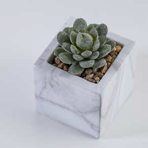 Mini Casa de plástico decoración suculentas Bonsai Artificial planta <span class=keywords><strong>en</strong></span> mármol de cemento Pot - Product Image 5
