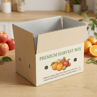 Op maat gemaakte Pp holle gevouwen fruitdoos van golfkarton voor sinaasappels, appels, kiwi's, drakenvruchten en groenteverpakkingen