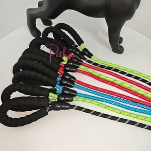 भारी ड्यूटी कुत्ते की लीड रस्सी गोल ब्रेड 12 मिमी नायलॉन चिंतनशील नीली लाल पर्ची कुत्ते के लिए लदान - Product Image 4