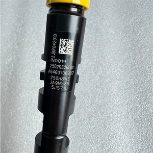 <span class=keywords><strong>Injecteur</strong></span> de carburant remanufacturé EJBR04201D A6460700987 pour moteur <span class=keywords><strong>diesel</strong></span> Delphi Mercedes C200 C220 E200 E220 2.1d OM646 Euro 4 - Product Image 2