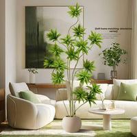 Pohon bambu Dekorasi Rumah, pohon Bamboo Lily refleksi dengan Pot untuk dekorasi rumah