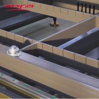 Machine de découpe laser à fibre pour tôles métalliques Laser Cnc AE 6015 1500W avec un bon prix et une haute qualité