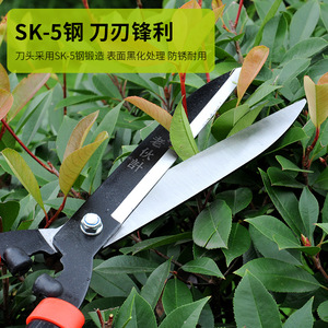 Old Friend Hedge <b>Shears</b> Premium Rivet Steel Blade Manual Garden Pruning <b>Tool</b> - Product Image 1