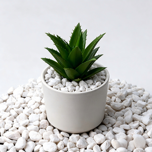 Vente en gros de <span class=keywords><strong>gravier</strong></span> décoratif arrondi durable pour la conception de jardins et de patios - Product Image 5