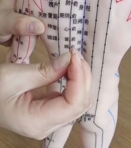 अंग्रेजी वर्शन 18.9 इंच मैन एक्यूपंक्चर मॉडल (बहुस्तरीय मेकअप) के साथ 409 एक्यूपंक्चर मॉडल (बहुस्तरीय मेकअप) सटीक मेरिडियन 1.6 किलो - Product Image 2