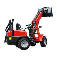 Rabattierter CE EPA Euro 5 Radlader mit Hydraulischer Hebevorrichtung, 4x4 Allradantrieb für Hofarbeit, Landwirtschaft und Obstgärten, mit Ersatzteilen