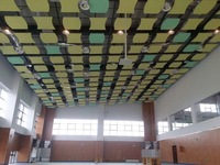 Dalle de Plafond Acoustique en Laine de Fibre de Verre Isolation Phonique Nuage, Panneau de Plafond en Forme de Nuage Acoustique Prix Usine