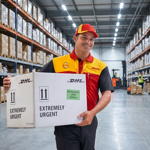 Agente de Carga en China, Servicio de Logística DDP a Francia, Transporte Aéreo Exprés, Tarifas de Envío Competitivas a EE. UU., Reino Unido y Canadá - Product Image 1