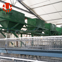 Cage à poulets RTL pour l'élevage de poules pondeuses, alimentation et abreuvement haute performance, structure robuste, adaptée aux fermes du Moyen-Orient