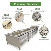 Commerciële Ozon Citrus Oranje Pompoen En Fruit Luchtbel Water Bladwortel Schone Wasmachine Wasmachine Voor Groente