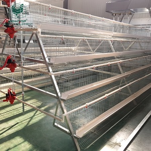 짐바브웨에서 판매되는 새 3단 128마리 수용 닭장, 급이기 설계 타입, 산란계용 가금류 농장용 - Product Image 2