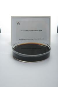 Fertilizante Líquido Foliar Biológico Verde Soluble en Agua Fría, Algas Marinas con 99.9% de Pureza <span class=keywords><strong>para</strong></span> <span class=keywords><strong>Fresas</strong></span>, Óptimo <span class=keywords><strong>para</strong></span> Invernaderos y Exteriores - Product Image 2