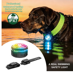Custom IPX5/IPX6/IPX7 Certificate Waterproof Rechargeable Pet Collar Pendant LED <strong>Light</strong> Night Safety Warning Glow LED <strong>Dog</strong> <strong>Light</strong> - Product Image 2