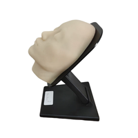 Modelo Facial Transparente Zhizao para Inyecciones Viales y Nerviosas, para Entrenamiento de Vasos Sanguíneos, Modelo Facial Médico y Cosmético