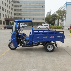 Nhà máy lớn bán hàng trực tiếp của Heavy Duty Xăng Xe ba bánh kéo hàng hóa chạy nhanh có thể được tùy chỉnh bán hàng nóng để kiếm tiền - Product Image 3