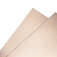 CF PCB stratifié feuille de cuivre plaqué cuivre conseil Fr4 Ccl simple face pour Pcb