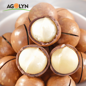 Hot Selling Factory China Good Quality About <strong>Macadamia</strong> <strong>Nut</strong> No Shell - Product Image 4