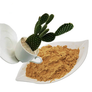 Hot bán cây xương rồng chiết xuất opuntia ficus-indica chiết xuất - Product Image 1
