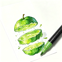 12 Pastel Dual Dot Tip Coloriage Adulte Double Tête Coloré Acrylique Peinture Marqueur Stylo Ensemble Avec Pointe Extra Fine