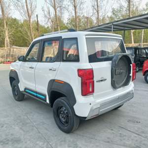 Vehículos Eléctricos Recargables Eco-Ride de 4 Plazas Personalizables Más Vendidos, Vehículos de Nueva Energía con Volante a la Derecha, Autonomía <100km, 3000W - Product Image 2