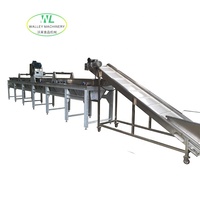 Volledig automatische Walley pruimen- en rozijnwasser, -droger, -vochtverhoger en -sterilisator voor de verwerking van fruit en groenten