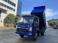 Tout nouveau camion à benne basculante LHD/RHD 8 tonnes 10 tonnes 15 tonnes Howo 4x2 Sinotruk camion à benne basculante Cargo camion léger vente