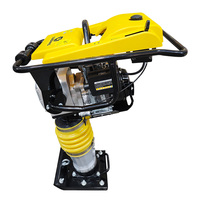 Compacteur vibrant diesel LUDWIG GTR80 3-6HP pour travaux de construction