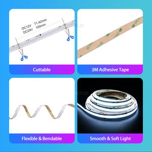 Europe CE for ROHS COB RGBIC Ws2811 630Leds Strip Smart IP20 Waterproof DC12V/24V High Density Flexible <b>Led</b> Strip Remote Control - Product Image 6