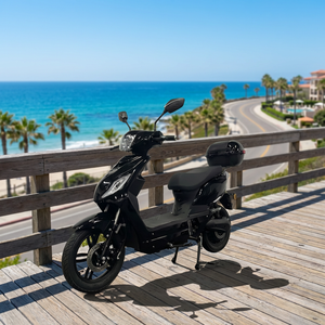 <span class=keywords><strong>Scooter</strong></span> électrique 48V 1000W 16 pouces, <span class=keywords><strong>homologué</strong></span> EEC COC, directement de l'usine OEM ODM, pour les distributeurs - Product Image 2