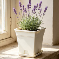 Pot de plante carré en plastique PP avec trou de drainage, design minimaliste durable pour une utilisation en intérieur/extérieur, capacité de 6,22 L