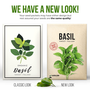 <span class=keywords><strong>Grand</strong></span> piquets <span class=keywords><strong>de</strong></span> support <span class=keywords><strong>de</strong></span> jardin biodégradables ensemble d'herbes originales Design basilic pépinière intérieure usage domestique <span class=keywords><strong>Pot</strong></span> <span class=keywords><strong>de</strong></span> plante extérieur - Product Image 2