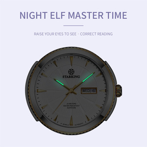 <span class=keywords><strong>Orologio</strong></span> Meccanico <span class=keywords><strong>Automatico</strong></span> <span class=keywords><strong>da</strong></span> <span class=keywords><strong>Donna</strong></span> di Lusso Personalizzato, Casual Business, Impermeabile, Cassa in Acciaio Inossidabile, Calendario Singolo - Product Image 5