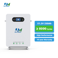 Baterai LiFePO4 JM 48 Volt 200Ah 230Ah 10kWh 11kWh 8000 Siklus Lithium Ion untuk Penyimpanan Energi Surya Rumah Tangga Powerwall dengan BMS