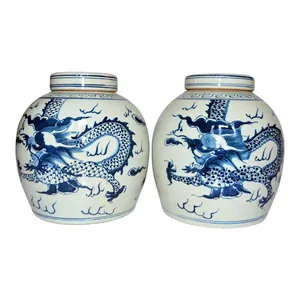 Barattoli da tè antichi in porcellana e barattoli di zenzero con motivi a doppia testa di leone drago blu e bianco di Qing e Kangxi eras