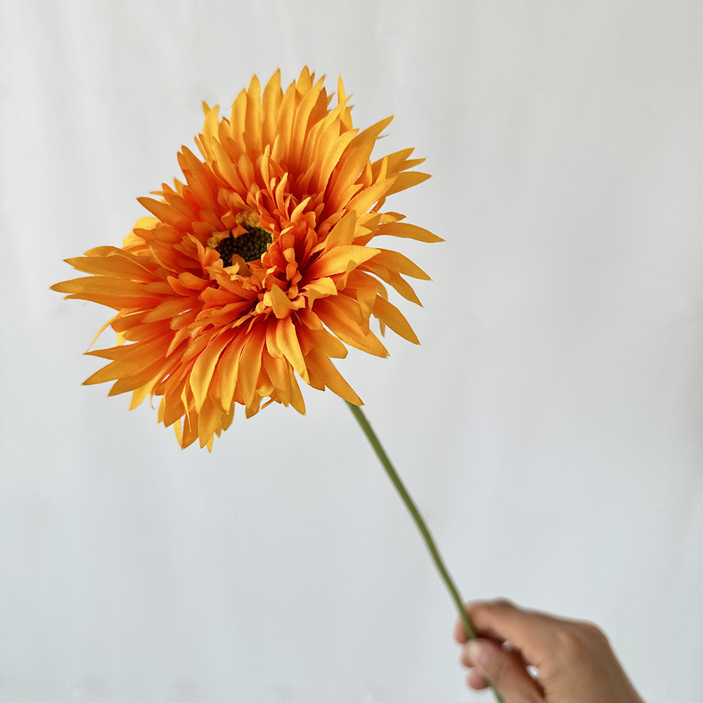 Naranja