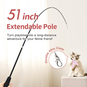 Hot Sale Retractable Cat Wand Toy with Wooden Handle <b>Bell</b> and Replaceable Feather Head for Cats and Kittens - Product Image 6