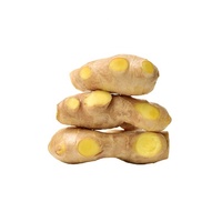 Gingembre frais de Chine, gingembre séché de haute qualité, prix d'usine, graines de gingembre à prix abordable