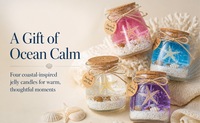 Coffret Cadeau Diffuseur de Parfum Artisanal en Cire Gelée Sans Fumée, Parfum Océanique, en Pot Pudding ou Coquille, pour l'Exportation