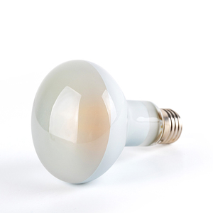 Chất lượng cao <span class=keywords><strong>R50</strong></span>/R16 R80/R25 R63/R20 bóng đèn dây tóc E12 <span class=keywords><strong>E14</strong></span> E26 E27 B22 4 Wát 6 Wát Ra80 Nhà Máy Giá r Series <span class=keywords><strong>LED</strong></span> bóng đèn dây tóc - Product Image 1